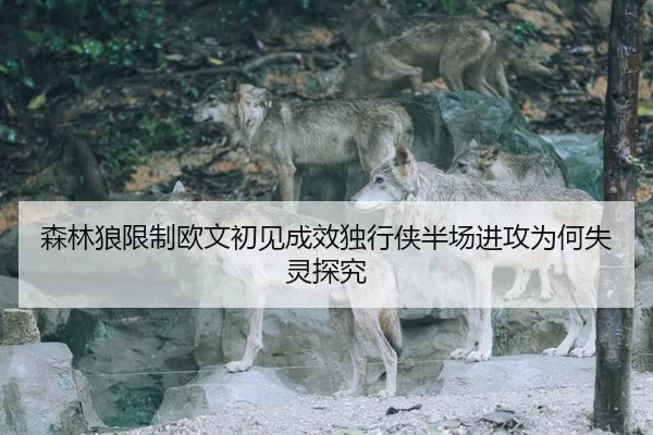 sen-lin-lang-xian-zhi-ou-wen-chu-jian-cheng-xiao-du-xing-xia-ban-chang-jin-gong-wei-he-shi-ling-tan-jiu-2-214.jpg