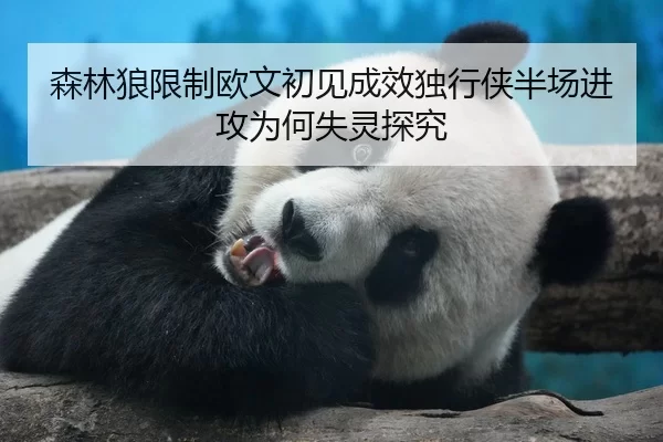森林狼限制欧文初见成效独行侠半场进攻为何失灵探究