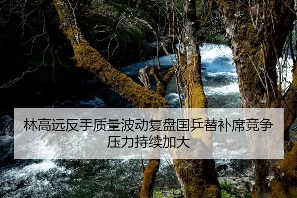 林高远反手质量波动复盘国乒替补席竞争压力持续加大