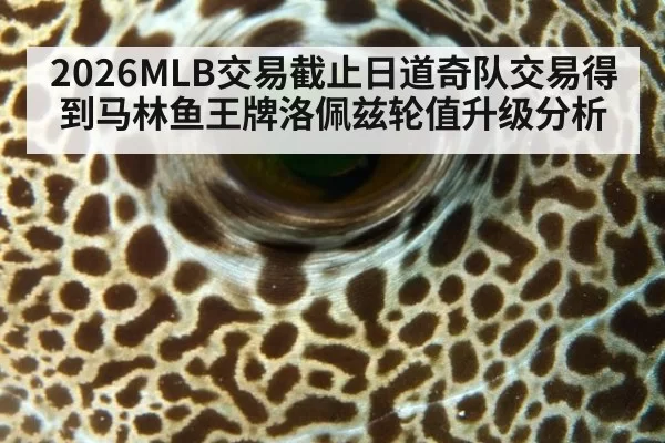 2026MLB交易截止日道奇队交易得到马林鱼王牌洛佩兹轮值升级分析