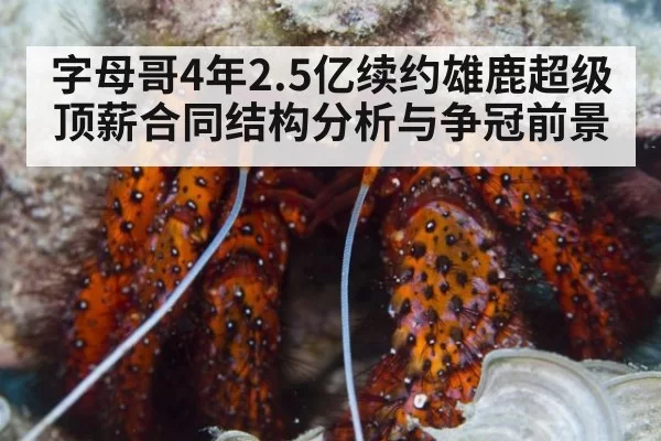 字母哥4年2.5亿续约雄鹿超级顶薪合同结构分析与争冠前景