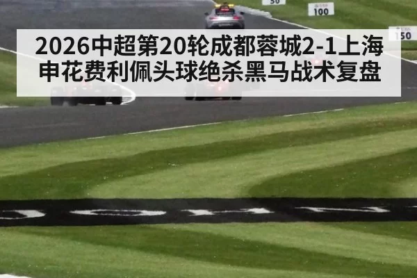 2026中超第20轮成都蓉城2-1上海申花费利佩头球绝杀黑马战术复盘
